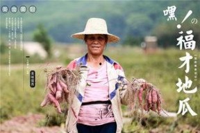 千万网红吃瓜视频,揭秘娱乐圈幕后真相