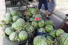 徽县网红吃瓜事件视频,揭秘网络热议背后的真相