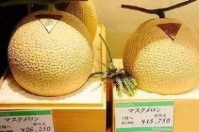 网红吃的网纹瓜,网纹瓜，口感与颜值并存的美味之旅